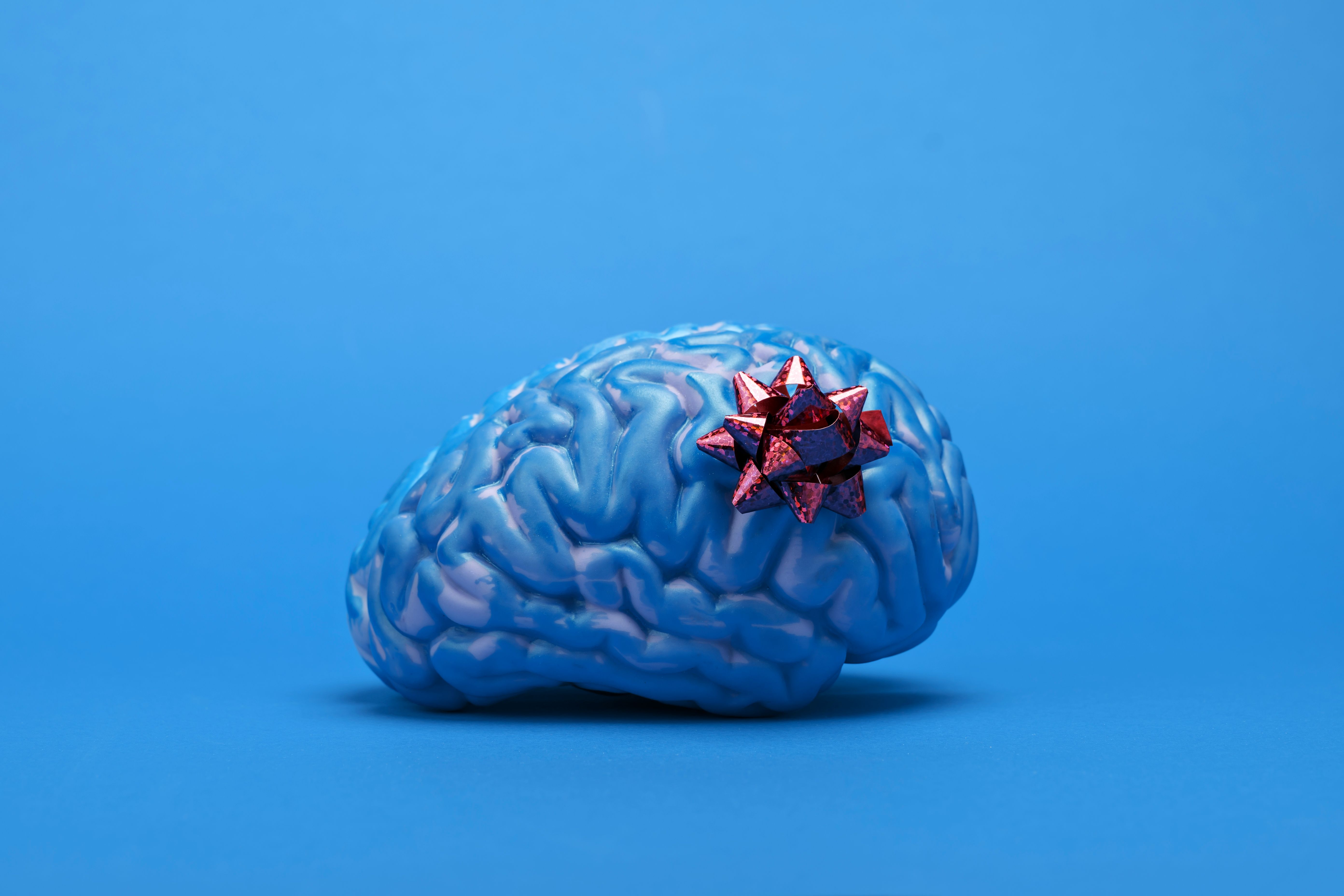 blue-brain-with-a-gift-bow-on-a-plain-blue-backgro-2026-03-17-21-44-21-utc.jpg