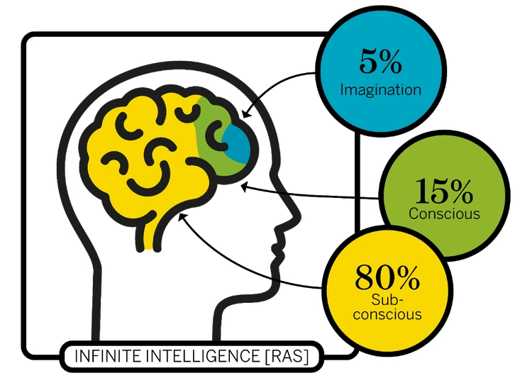 The 3-Part Brain Model That Separates Top Dealerships from the Rest ...